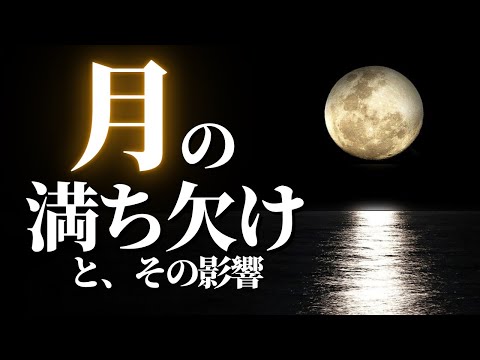 [Understanding in 10 minutes] The influence of the phases of the moon on life