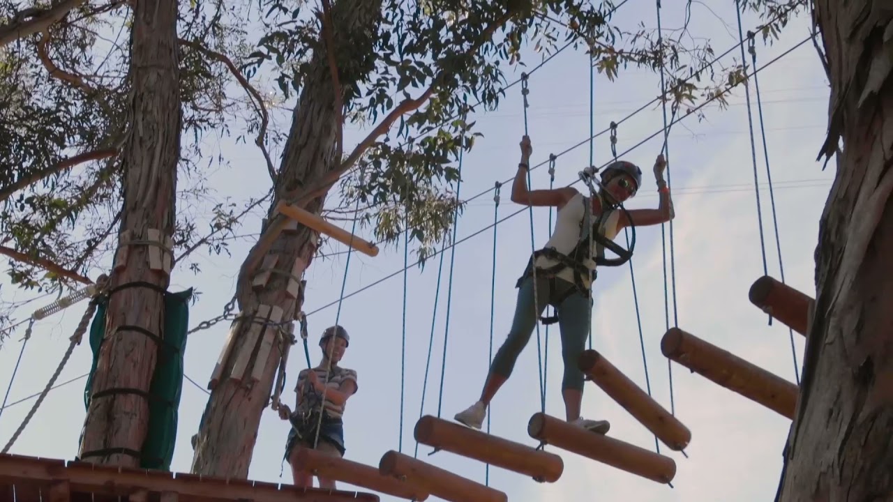 Catalina Aerial Adventure