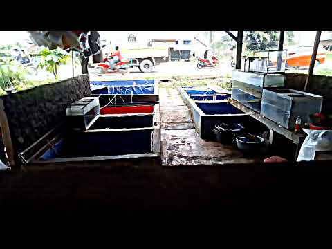 Suasana toko di pagi hari