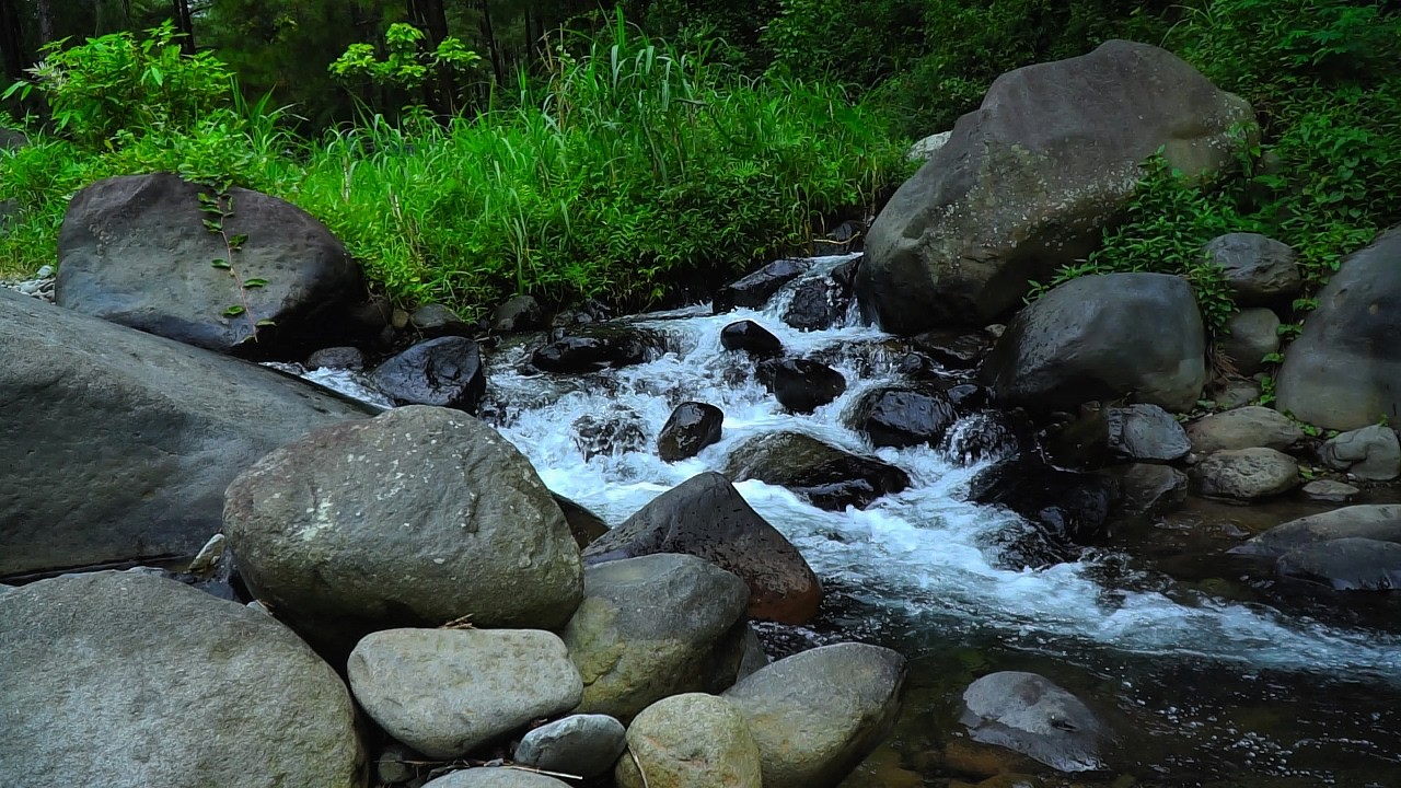 Gentle River Sounds for Studying and Focus | Smooth Water Flow for Clarity