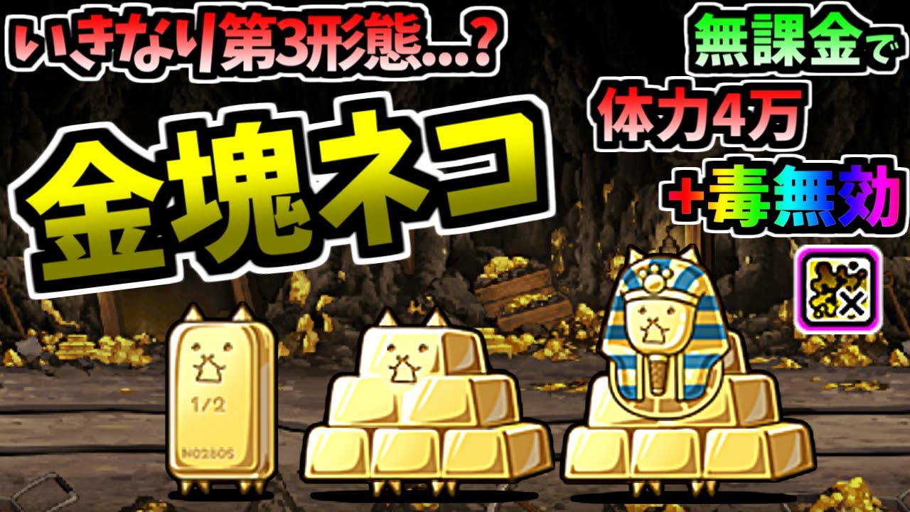 Gold Brick Cat / King Ingot Cat / King Nekokhamen - Testing