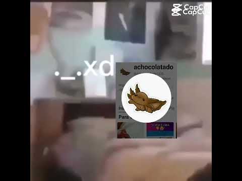 e por isso