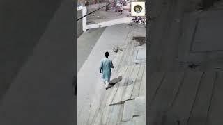 Lion on the Loose! Shocking Attack on Woman and Child in Lahore’s Johar Town