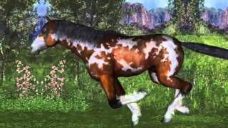 Millennium Horses.wmv