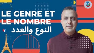 Le Genre et le Nombre des noms     النوع والعدد (المذكر والمؤنث + الجمع والمفرد)  #khalid_afak