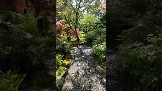 This Tiny Bridge Feels Like a Fairytale 🌿✨ | Butchart Gardens #shorts #britishcolumbia #victoria