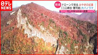 【絶景】二口峡谷・磐司岩の紅葉  ドローン映像　宮城　NNNセレクション