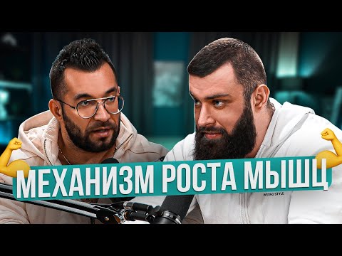 MECHANISM OF MUSCLE GROWTH. DMITRY NIKIFOROV.