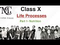 Explanation of Life Processes | Part 1 | Class X | Biology | Mittal Classes