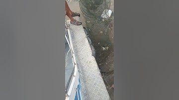 đổ dớn tại soài rạp mùa cá chẻm