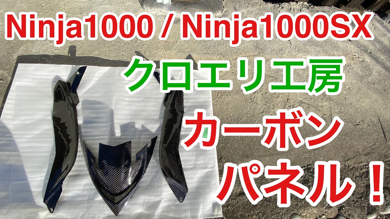 Motorcycle, motovlog, Ninja1000, Ninja1000SX, carbon panel