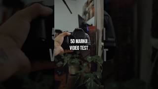 5D Mark ii en 2023???