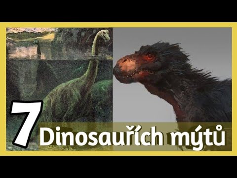 Video: Kde Je Největší Sbírka Kůže Dinosaurů