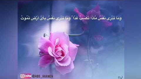 {وماتدري نفسٌ ماذا تكسب غدا} _ تلاوة رائعة للشيخ ناصر القطامي