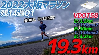 【マラソン練習】Tペースに余裕がでてきた!!合計19.3kmのダニエルズ マラソントレーニング!!大阪マラソンまで14週Q1!!