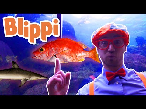 Blippi | Blippi Visits The Aquarium and MORE! | Explore with Blippi |  Educational Videos for Kids