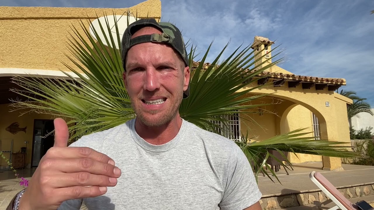 Der Borderliner meldet sich nach 7 Tagen zurück.