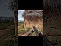EVERYONE IS TALKING ABOUT BELLUM, HERE'S WHY