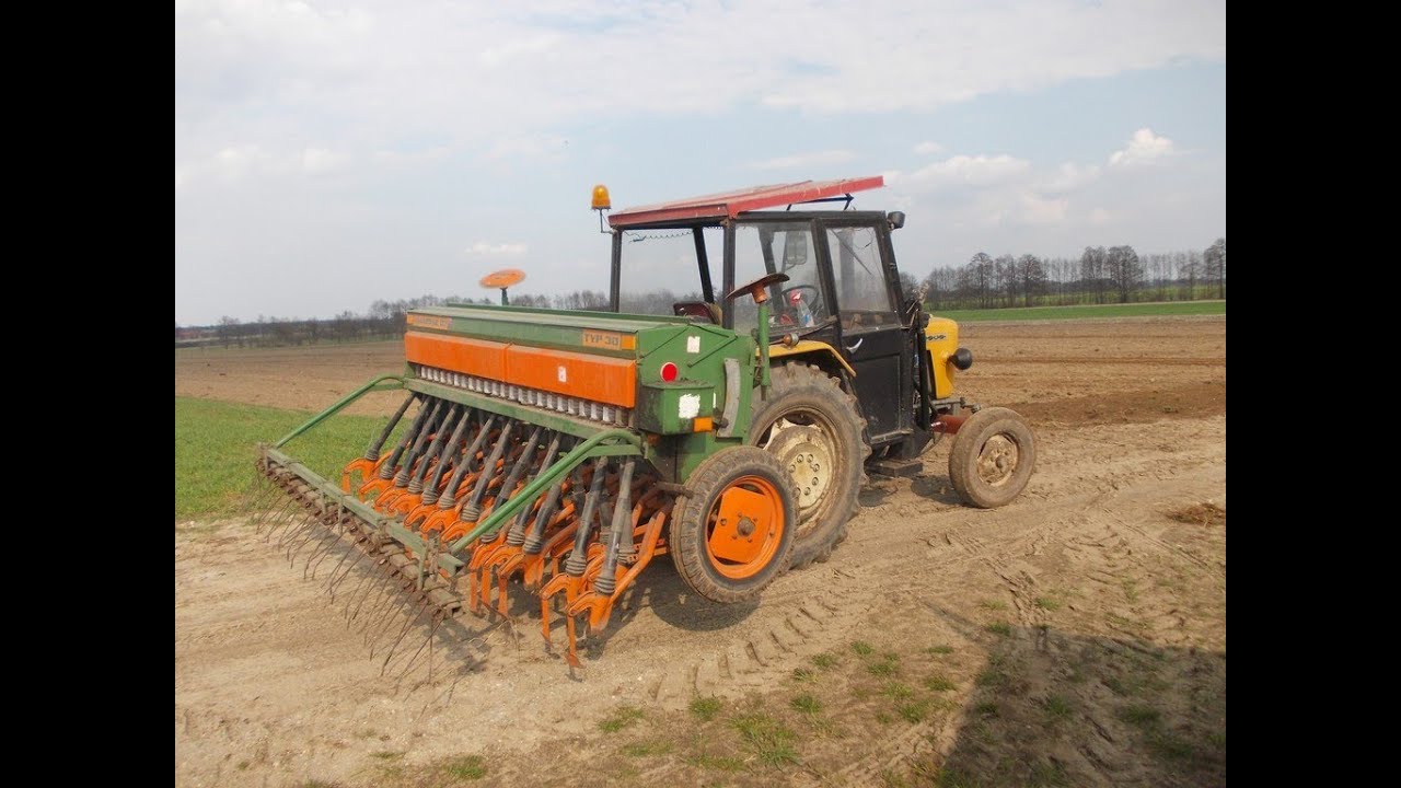 Siew owsa 2013. Ursus C330m + Amazone D7