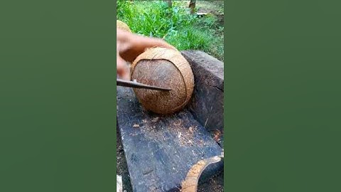 The best technique removing coconut from its shell