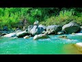 Deep Sleep River Sounds Flowing Gently Past Soft Sand and Rounded Stones