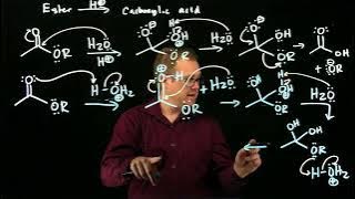 Carboxylic acids and Der pt 4