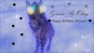 Feral Heart - Gonna Be Okay (♡Happy Birthday Mitzuel !!!♡)