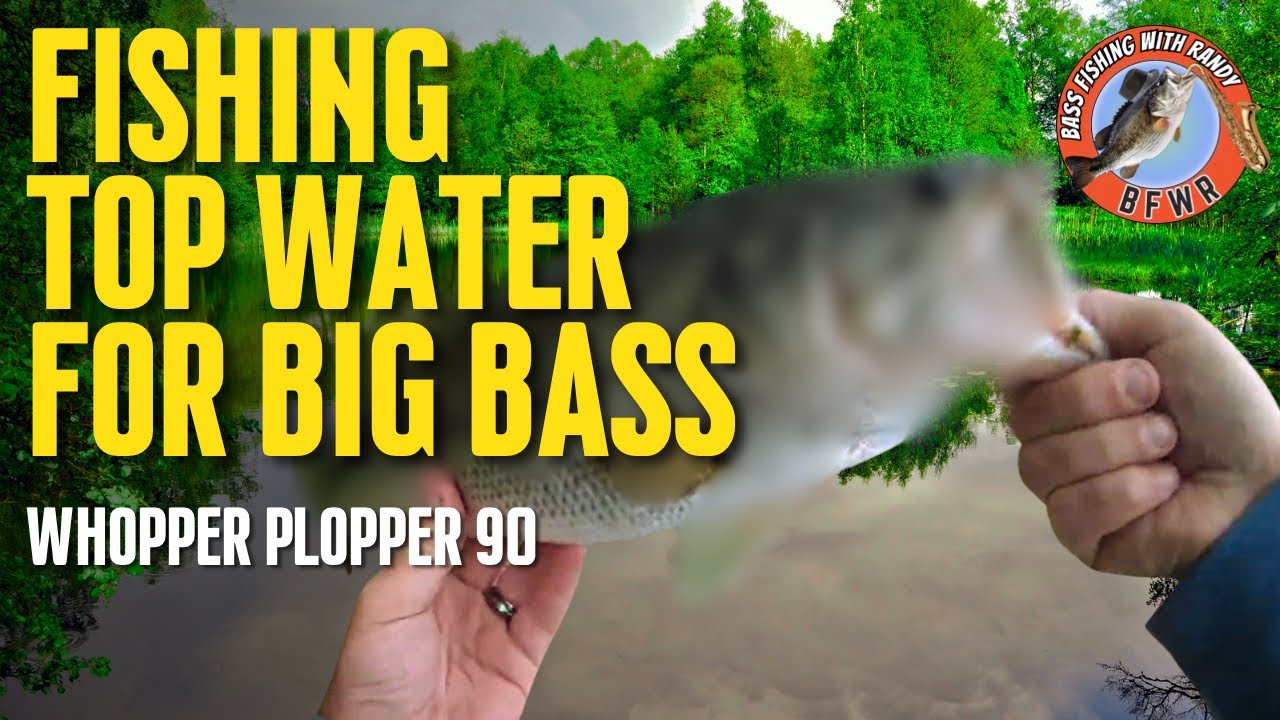 Top Water BIG BASS! – Brush Pile- PLOPPER  90 – #pondfishing #bassfishing #bassfishinglife