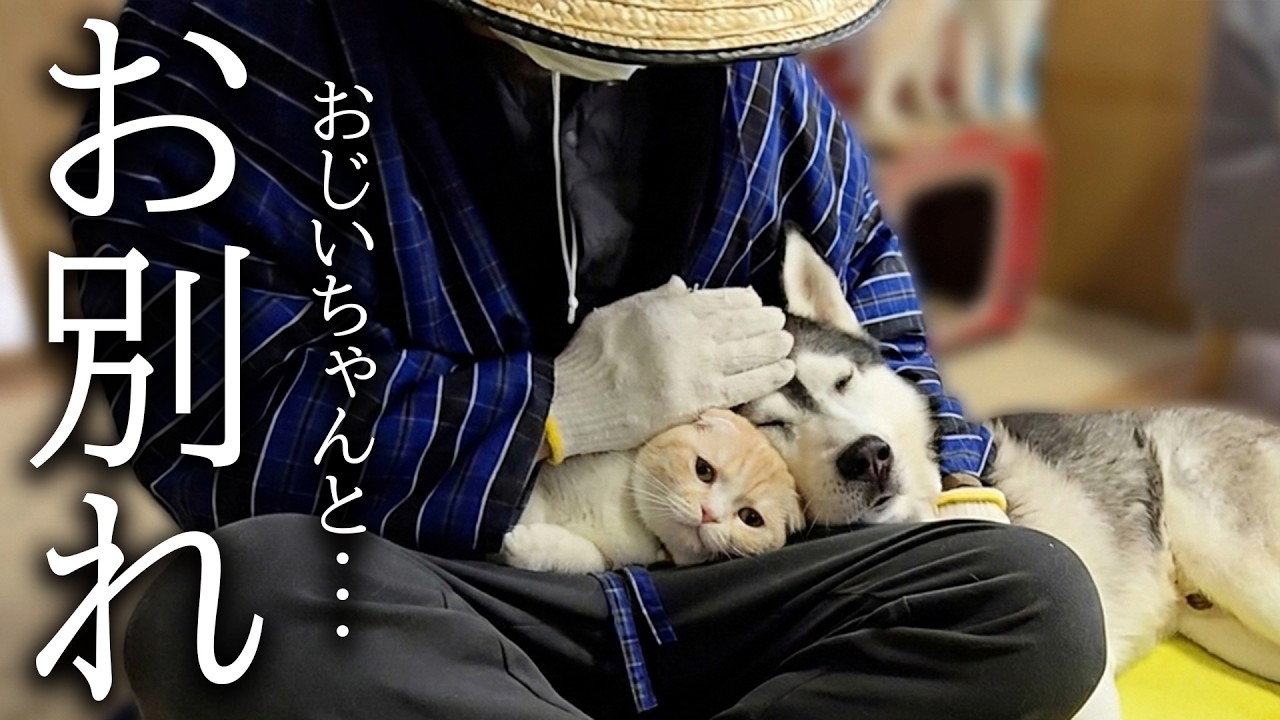 おじいちゃんとお別れしたくない犬と猫がこうなっちゃいました...