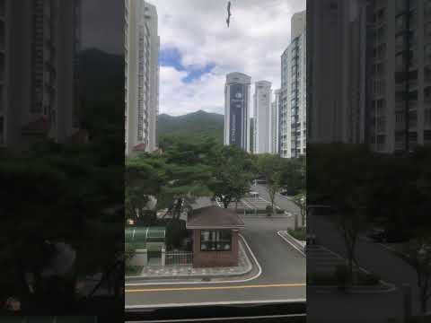 Test 해운대 장산..내방에서 ㅎㅎ
