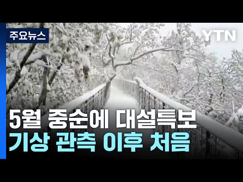 5월 중순 맞아?...강원 산간, 대설특보 속 40cm 넘는 눈 / YTN