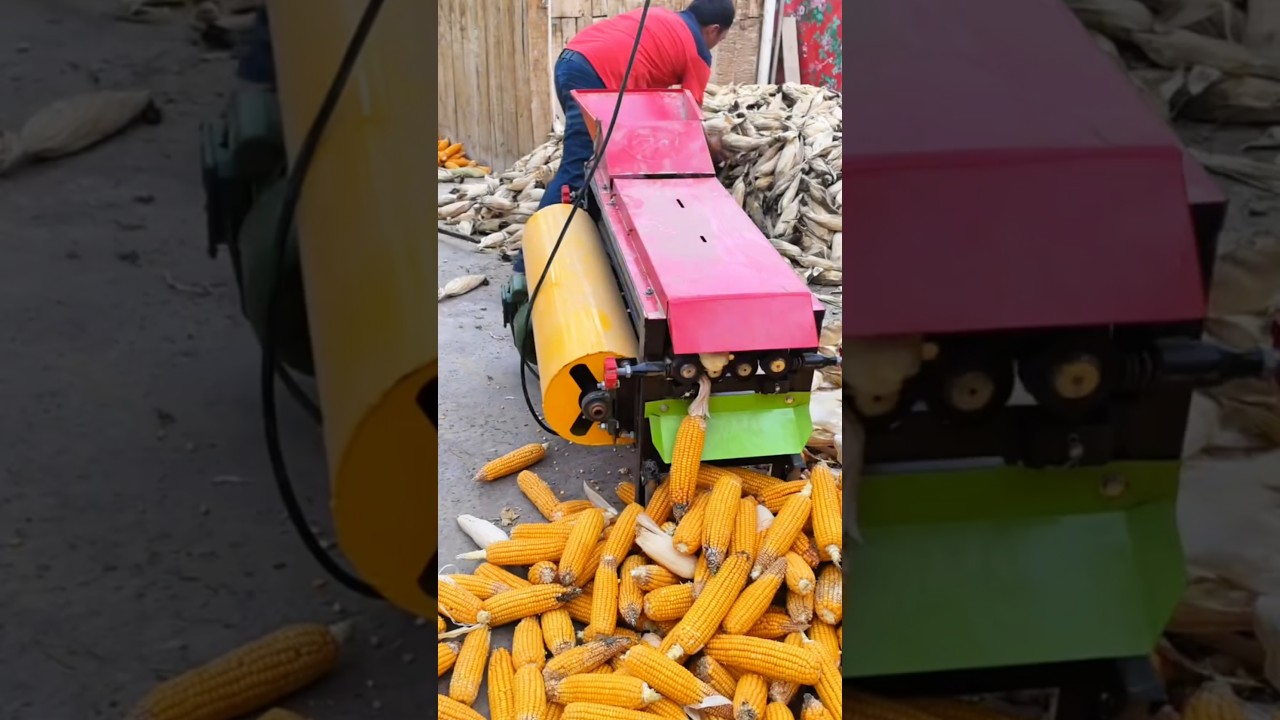 peanut shelling machine can 