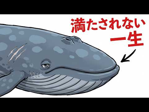 シロナガスクジラに転生したら最悪だった件のサムネイル