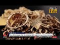 ኢትዮጵያ በወርቅ እና በቡና አዲስ ታሪክ ሰራች  | ETV | EBC | EBCDOTSTREAM
