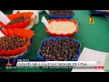 ኢትዮጵያ በወርቅ እና በቡና አዲስ ታሪክ ሰራች  | ETV | EBC | EBCDOTSTREAM