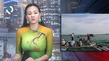 Công bố nguyên nhân cá lồng bè chết hàng loạt tại Vĩnh Tân