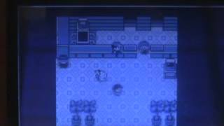 How to Catch Missingno part 2