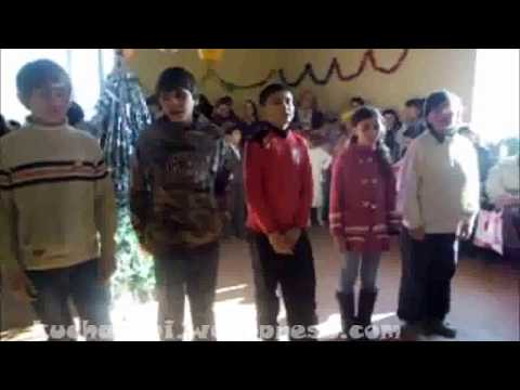 წელი ახალი2014