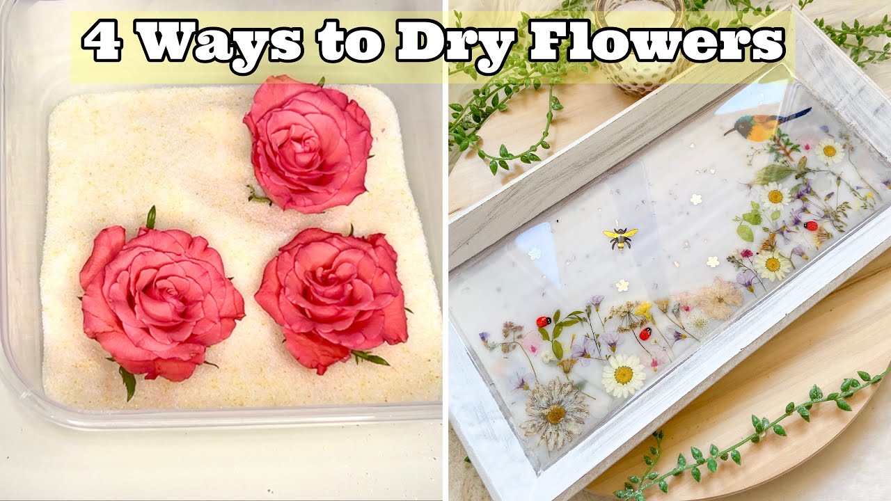 Как высушить цветы для искусства из смолы: (4 способа!)