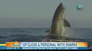 Video of The Biggest Shark Ever Leaves News Anchor Speechless