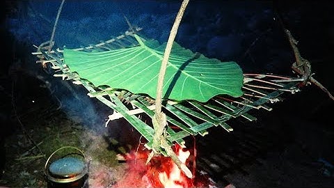 CÁ SUỐI GÁC BẾP  | Sống Trong Hang • Tập 2