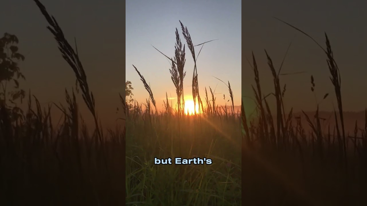 Is the Sun Really Yellow 