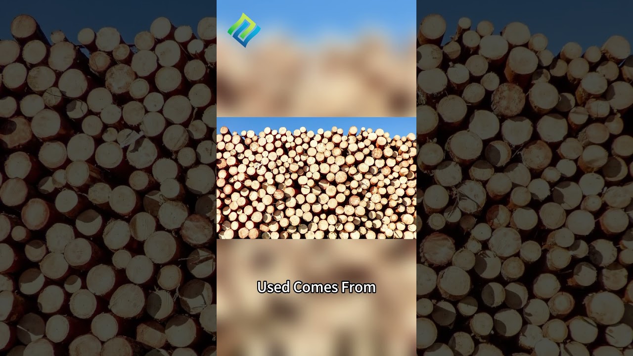 Our washable kraft paper uses FSC-certified raw paper, eco-friendly and practical