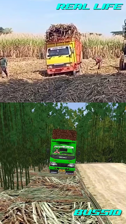 BUSSID VS REAL LIFE #bussid #bussimulatorindonesia #trukoleng