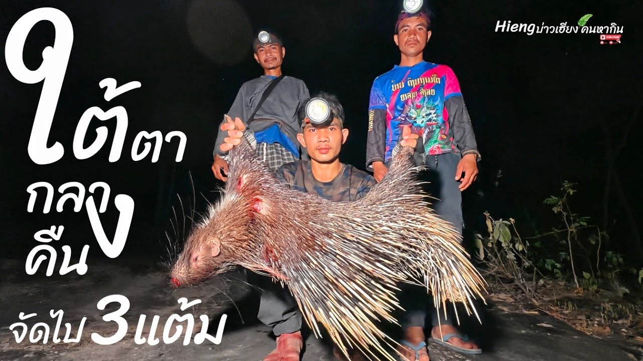 ออกล่ายกทีมจัดไป3แต้มในค่ำคืนเดียวกัน Hieng บ่าวเฮียง คนหากิน