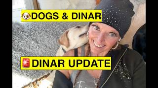 Iraqi Dinar Update 💥 Digital Dinar, Current Rates & Iraq Articles (Full Intel Summary)