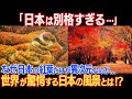 「日本は別格過ぎる…」なぜ日本の紅葉だけが異次元なのか？外国人の目には特別に映ると海外ネットでコメント殺到！日本の紅葉の秘密とは！？神々しい景色に世界が仰天！！【海外の反応】