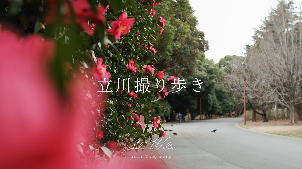 立川が静かに呼吸している日 冷たい空気の中を歩く｜Solo Walk in Tachikawa (Tokyo, Japan)