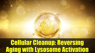 Cellular Cleanup: Reversing Aging with Lysosome Activation