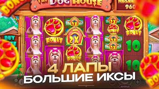 :      !!!THE DOG HOUSE MEGAWAYS